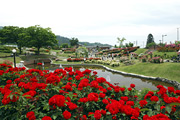 東沢バラ公園02
