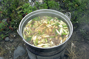 いも煮会02