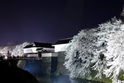東大手門(桜)01