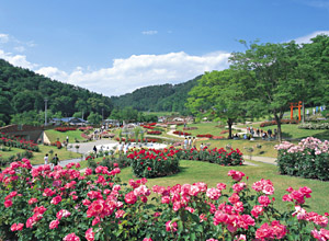 東沢バラ公園